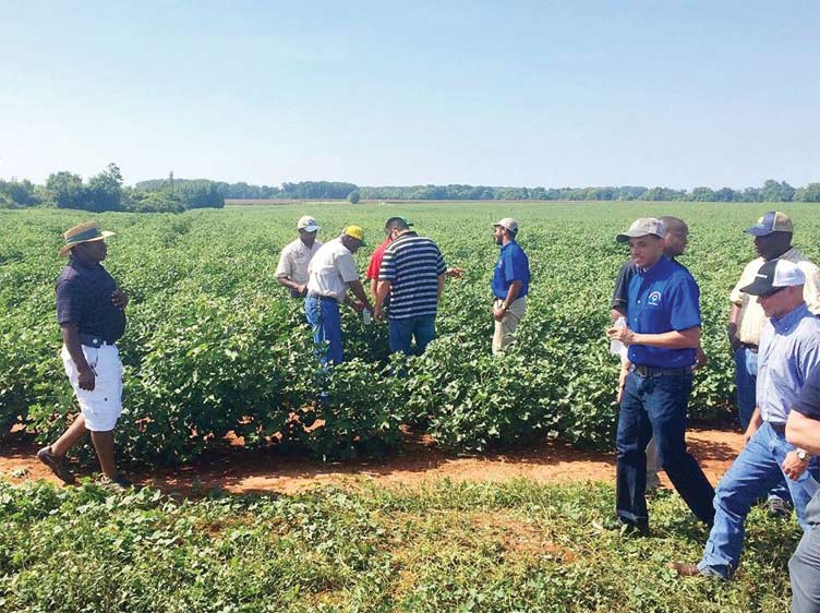 Black growers ag tour