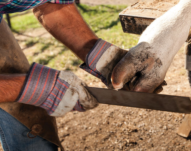 Eric DeBorde uses an old-fashioned rasp for shaping and smoothing