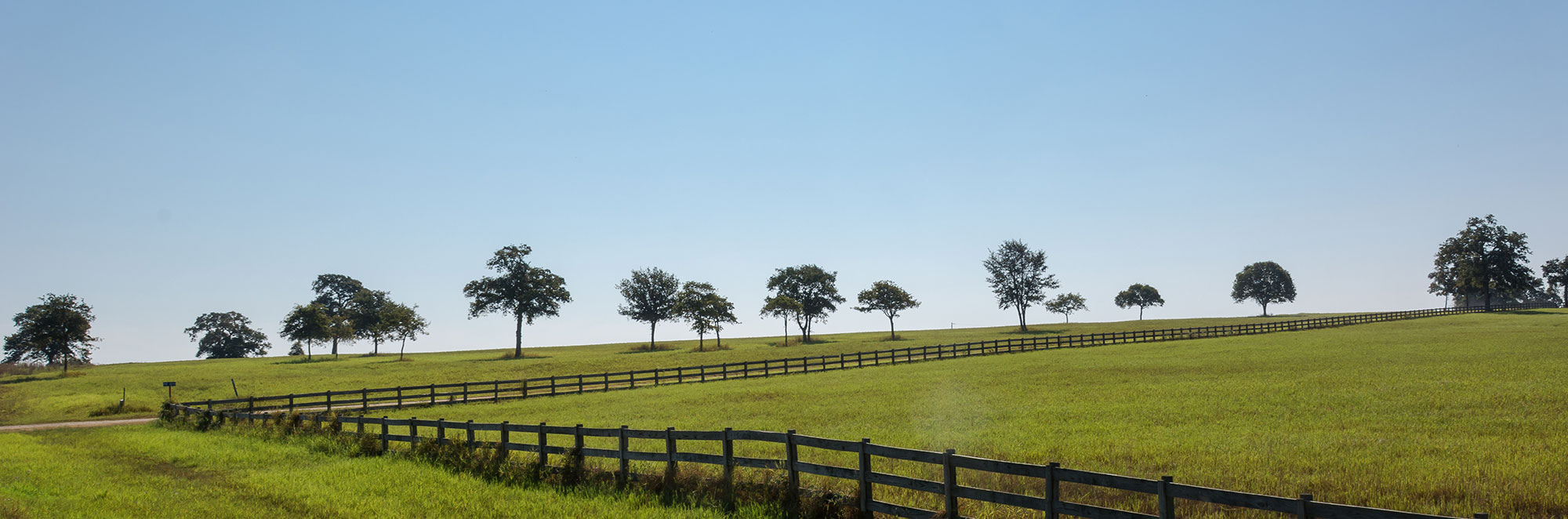 rural land for sale nz